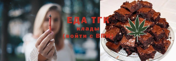 дмт Бородино