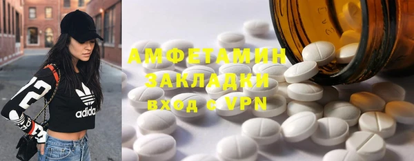дмт Бородино