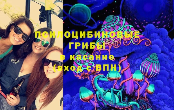 дмт Бородино