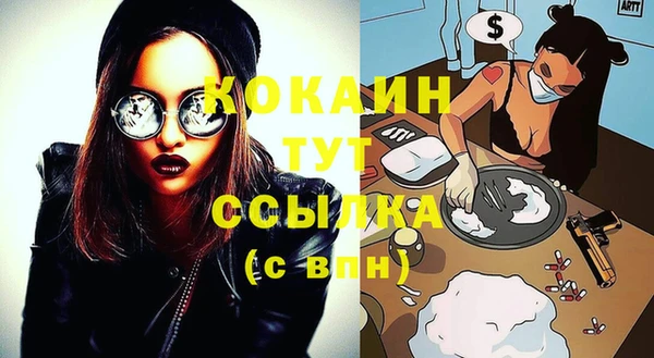 дмт Бородино