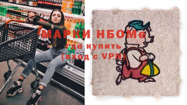 дмт Бородино