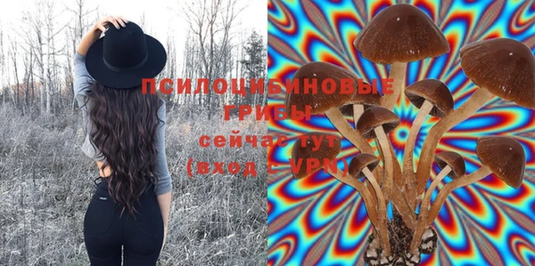 трава Верея