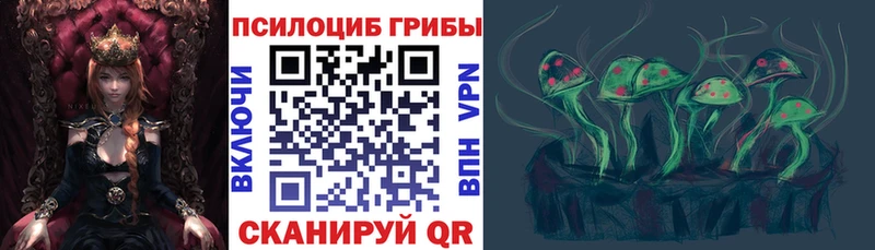 Купить закладки Юрьевец Псилоцибиновые грибы Magic Shrooms